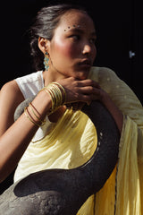 Nava Shaded Sari Dress