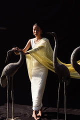Nava Shaded Sari Dress